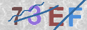 CAPTCHA (Şahıs Denetim Kodu) Resmi