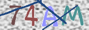CAPTCHA (Şahıs Denetim Kodu) Resmi