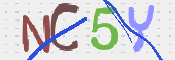 CAPTCHA (Şahıs Denetim Kodu) Resmi