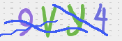 CAPTCHA (Şahıs Denetim Kodu) Resmi