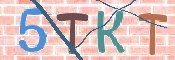 CAPTCHA (Şahıs Denetim Kodu) Resmi