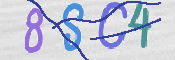 CAPTCHA (Şahıs Denetim Kodu) Resmi