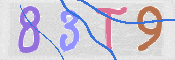 CAPTCHA (Şahıs Denetim Kodu) Resmi
