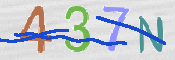 CAPTCHA (Şahıs Denetim Kodu) Resmi