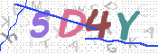 CAPTCHA (Şahıs Denetim Kodu) Resmi