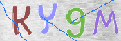 CAPTCHA (Şahıs Denetim Kodu) Resmi