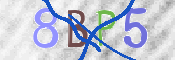 CAPTCHA (Şahıs Denetim Kodu) Resmi