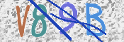 CAPTCHA (Şahıs Denetim Kodu) Resmi