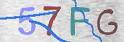 CAPTCHA (Şahıs Denetim Kodu) Resmi