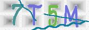 CAPTCHA (Şahıs Denetim Kodu) Resmi