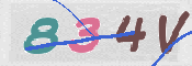 CAPTCHA (Şahıs Denetim Kodu) Resmi