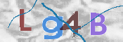 CAPTCHA (Şahıs Denetim Kodu) Resmi