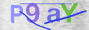 CAPTCHA (Şahıs Denetim Kodu) Resmi