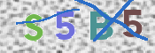 CAPTCHA (Şahıs Denetim Kodu) Resmi