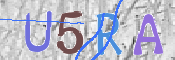 CAPTCHA (Şahıs Denetim Kodu) Resmi