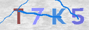 CAPTCHA (Şahıs Denetim Kodu) Resmi
