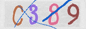 CAPTCHA (Şahıs Denetim Kodu) Resmi