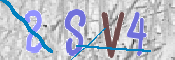 CAPTCHA (Şahıs Denetim Kodu) Resmi