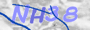 CAPTCHA (Şahıs Denetim Kodu) Resmi