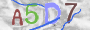 CAPTCHA (Şahıs Denetim Kodu) Resmi