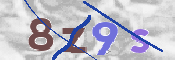 CAPTCHA (Şahıs Denetim Kodu) Resmi