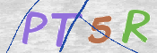 CAPTCHA (Şahıs Denetim Kodu) Resmi