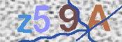 CAPTCHA (Şahıs Denetim Kodu) Resmi