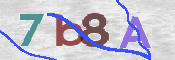 CAPTCHA (Şahıs Denetim Kodu) Resmi
