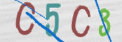 CAPTCHA (Şahıs Denetim Kodu) Resmi