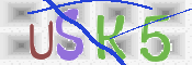 CAPTCHA (Şahıs Denetim Kodu) Resmi