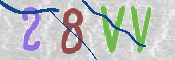 CAPTCHA (Şahıs Denetim Kodu) Resmi