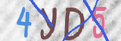 CAPTCHA (Şahıs Denetim Kodu) Resmi