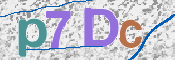CAPTCHA (Şahıs Denetim Kodu) Resmi