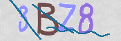 CAPTCHA (Şahıs Denetim Kodu) Resmi