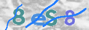 CAPTCHA (Şahıs Denetim Kodu) Resmi