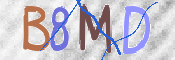 CAPTCHA (Şahıs Denetim Kodu) Resmi