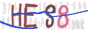 CAPTCHA (Şahıs Denetim Kodu) Resmi