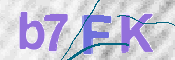 CAPTCHA (Şahıs Denetim Kodu) Resmi
