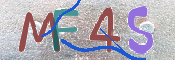 CAPTCHA (Şahıs Denetim Kodu) Resmi