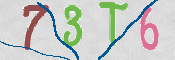CAPTCHA (Şahıs Denetim Kodu) Resmi