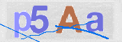 CAPTCHA (Şahıs Denetim Kodu) Resmi