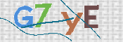 CAPTCHA (Şahıs Denetim Kodu) Resmi
