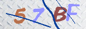 CAPTCHA (Şahıs Denetim Kodu) Resmi