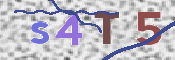 CAPTCHA (Şahıs Denetim Kodu) Resmi
