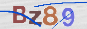 CAPTCHA (Şahıs Denetim Kodu) Resmi
