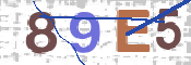 CAPTCHA (Şahıs Denetim Kodu) Resmi