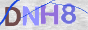 CAPTCHA (Şahıs Denetim Kodu) Resmi