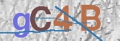 CAPTCHA (Şahıs Denetim Kodu) Resmi