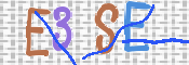 CAPTCHA (Şahıs Denetim Kodu) Resmi