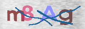 CAPTCHA (Şahıs Denetim Kodu) Resmi